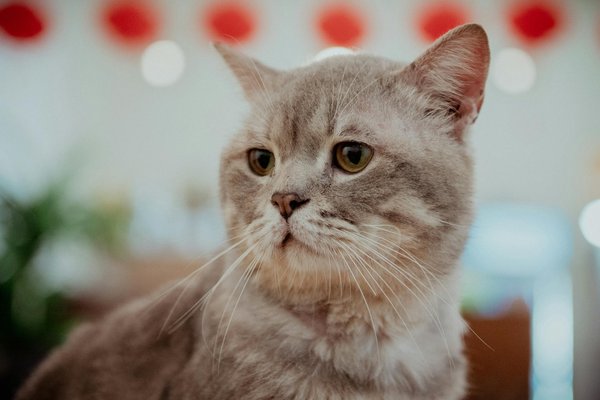 Welche Rolle spielt Social Media im modernen Geschäftsleben?